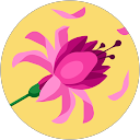 Emily Roberts profile picture